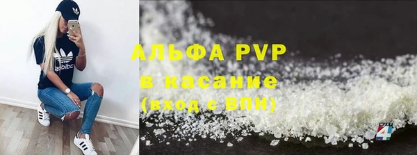 прущие грибы Абаза