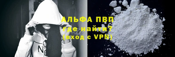 прущие грибы Абаза