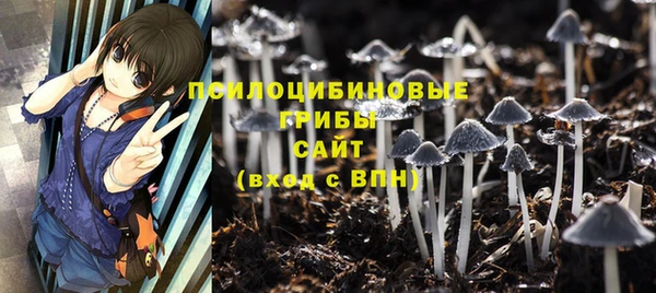 прущие грибы Абаза