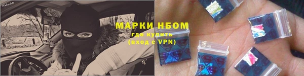 прущие грибы Абаза