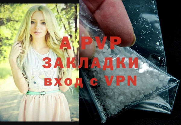 прущие грибы Абаза