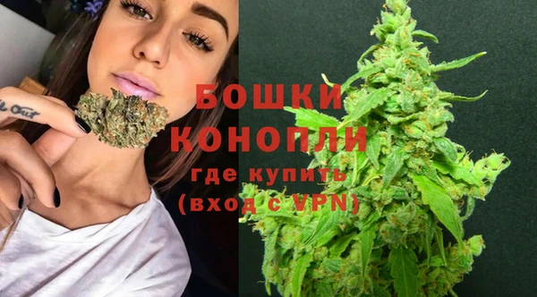 скорость Каменногорск