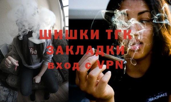 прущие грибы Абаза