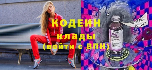 прущие грибы Абаза
