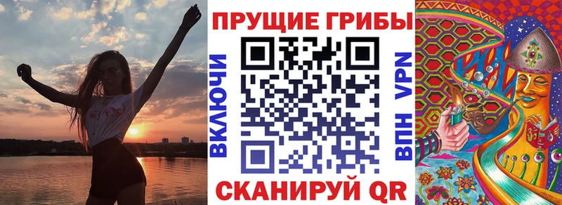 ОМГ ОМГ как войти  Новотроицк  Галлюциногенные грибы Psilocybine cubensis 