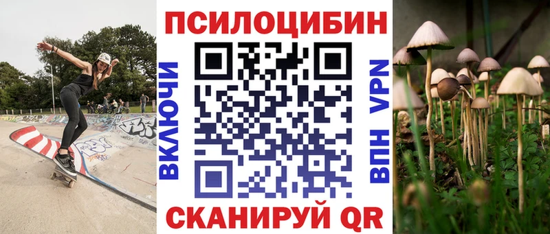 Галлюциногенные грибы Cubensis Новотроицк